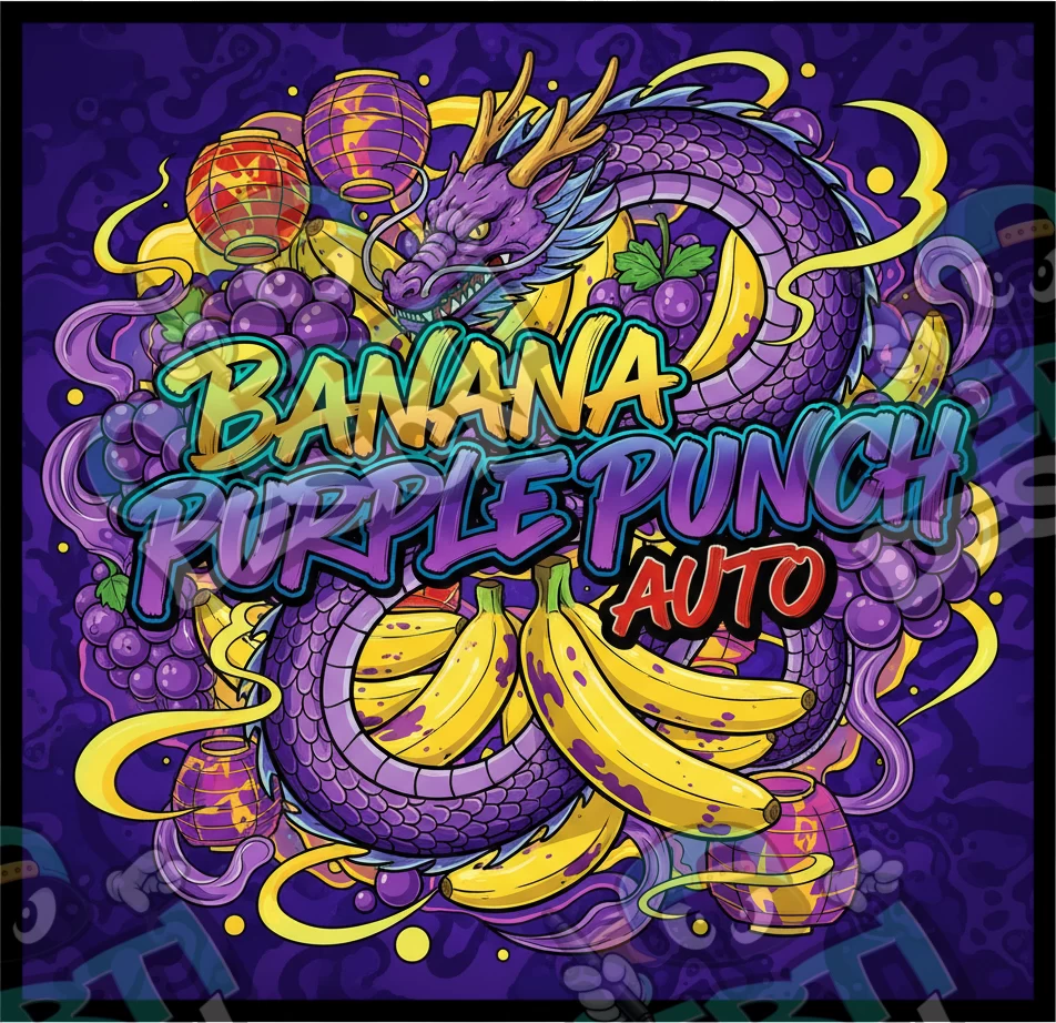 Banana Purple Punch Auto Pre-Made 3.5g Square Mylar Bags